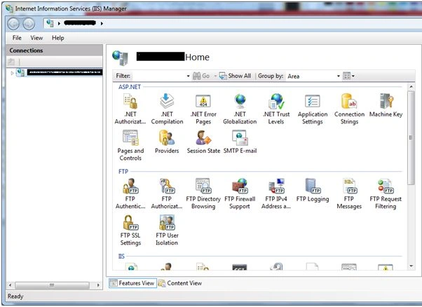 enabling the IIS Service