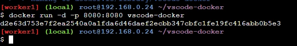 Run the Container