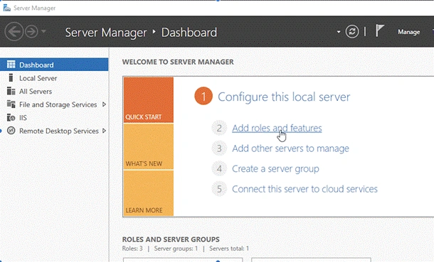 Server Manager Add roles and feature