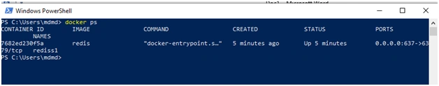 Installing Docker and Running Container Locally