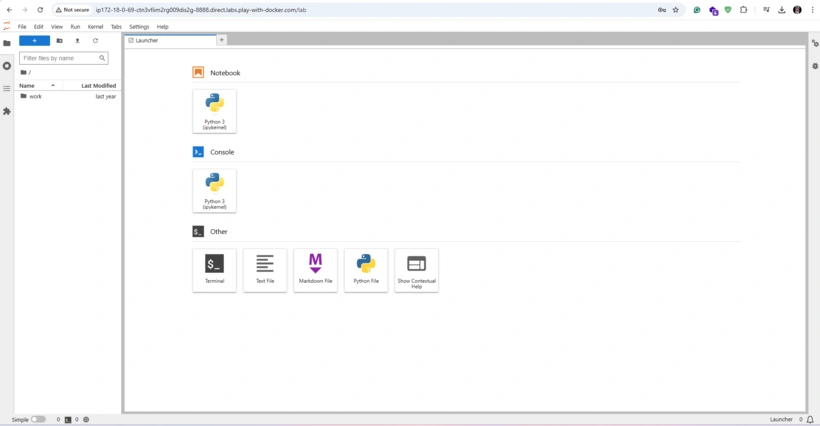 Install Jupiter notebook on Docker