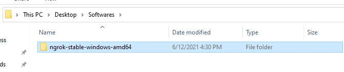 Installing Ngrok