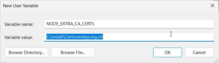 nodejs.org.crt