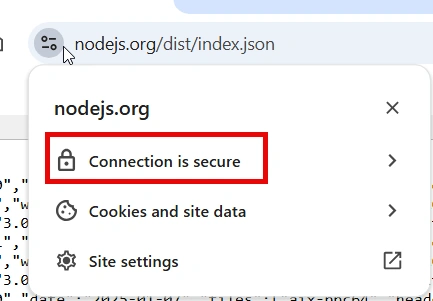 nodejs.org- Connection secured