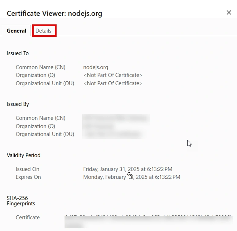 Certificate viewer: nodejs.org