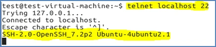 telnet localhost 22