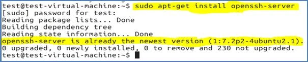 sudo apt-get install openssh-server