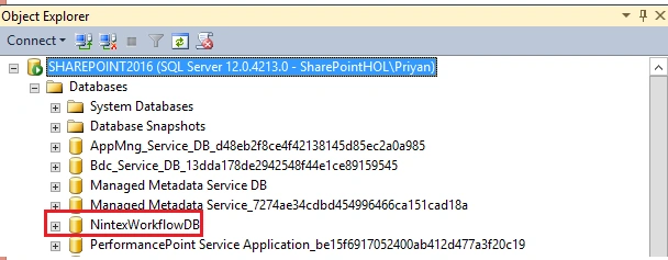 Nintex Database