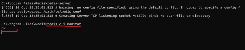 Redis server started to run.