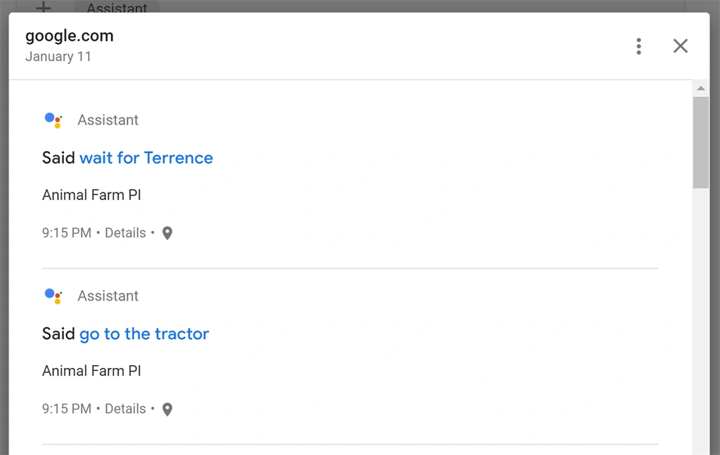 Google Assistant History