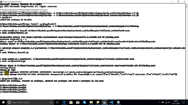 InstallNpm