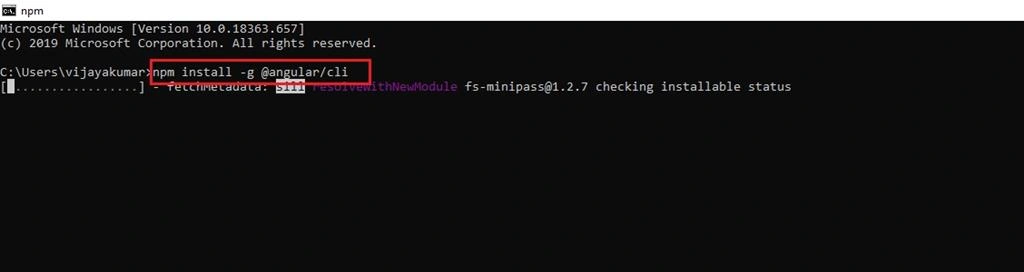 Angular Development Environment