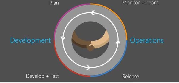 Lifecycle 