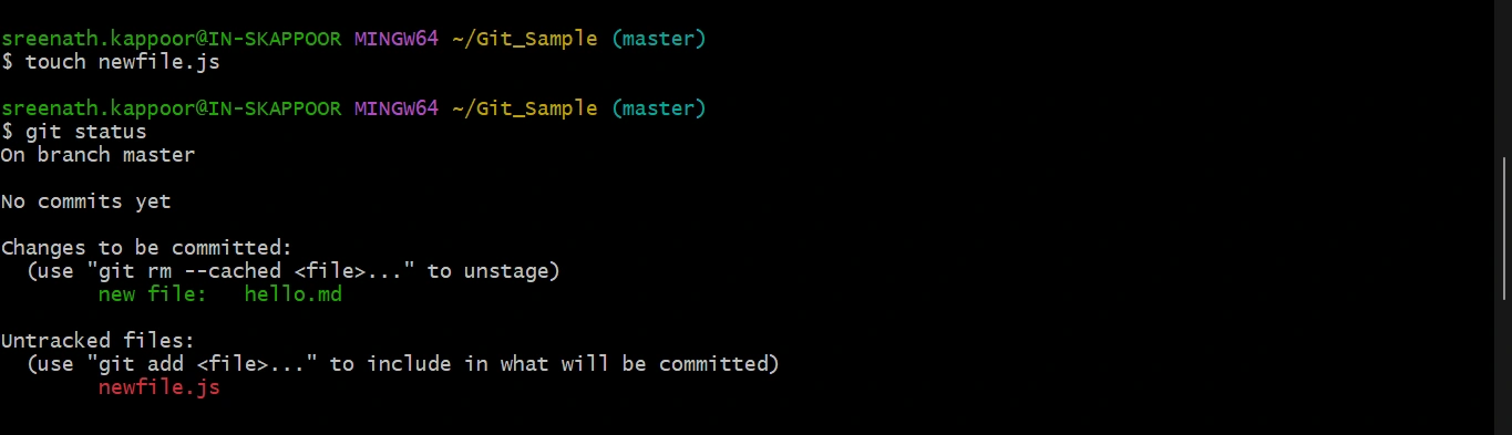 Git 13