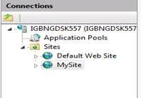 IIS Server