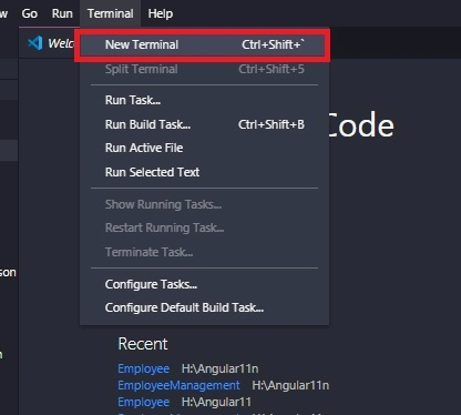 New Terminal