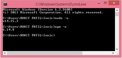 node -v npm -v