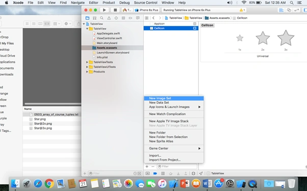 asset folder