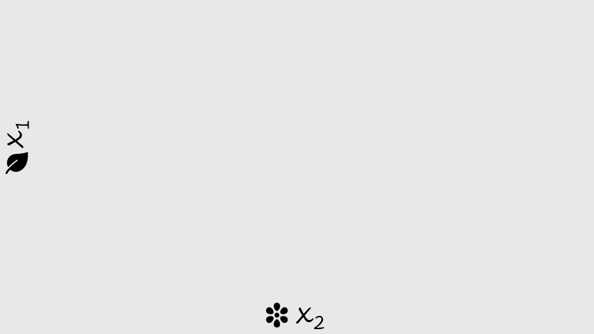 Animation of Process