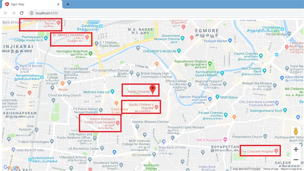 Angular AGM Map Places Visibility