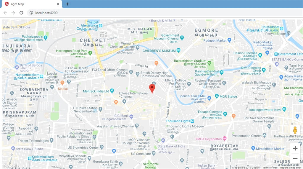 Angular AGM Map Places Visibility