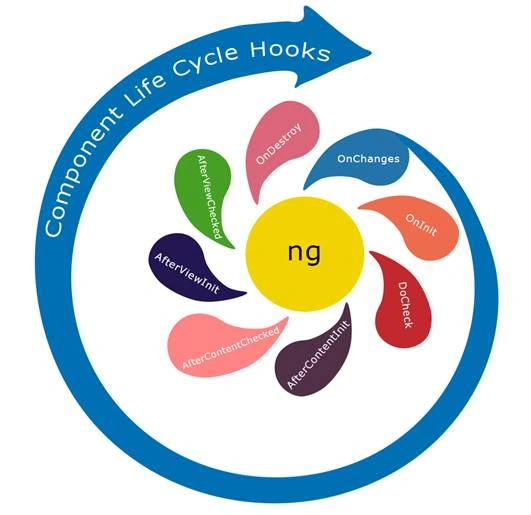 Angular 5 - LIFECYCLE HOOKS