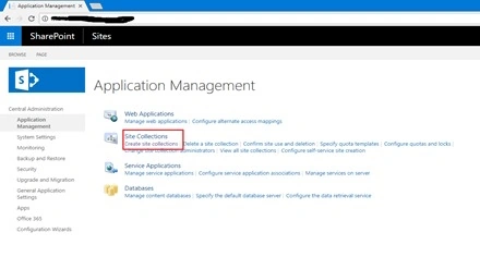 Management