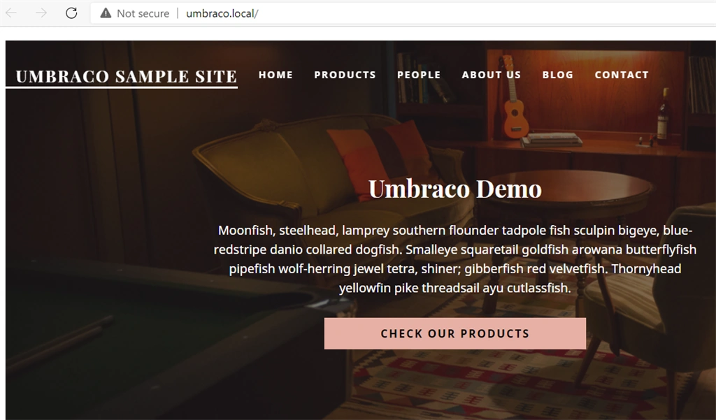 Learn Umbraco Installation And Hosting On Local IIS