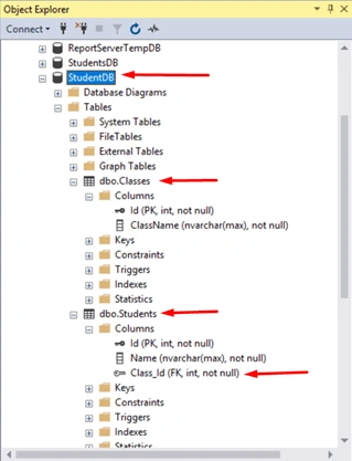 Data Access Approaches of Entity Framework in .NET