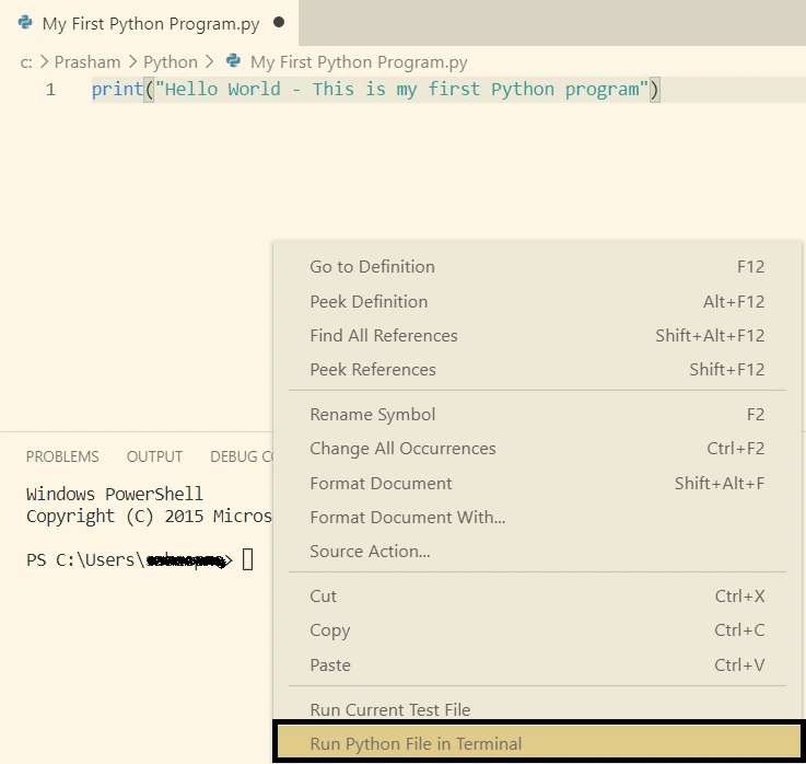 Running Python program from Visual Studio Code editor