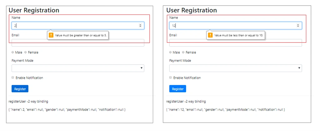 Angular Application - Input Validation In Template Driven Forms