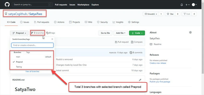  SatyaTwo repository