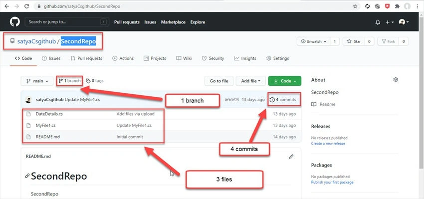 Git Repository