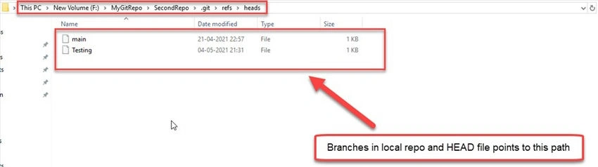 HEAD file