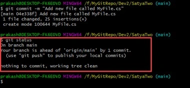 Git repository
