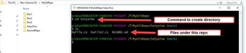 Local repo