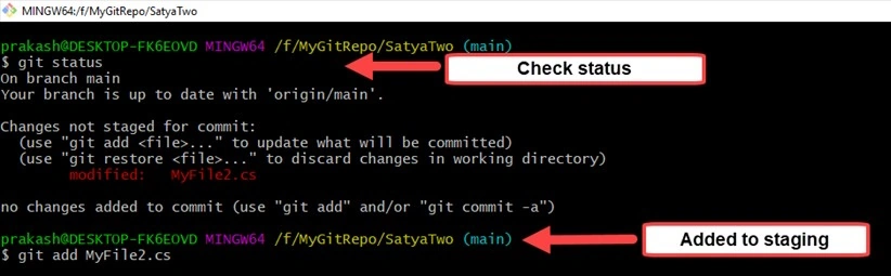GitHub repository