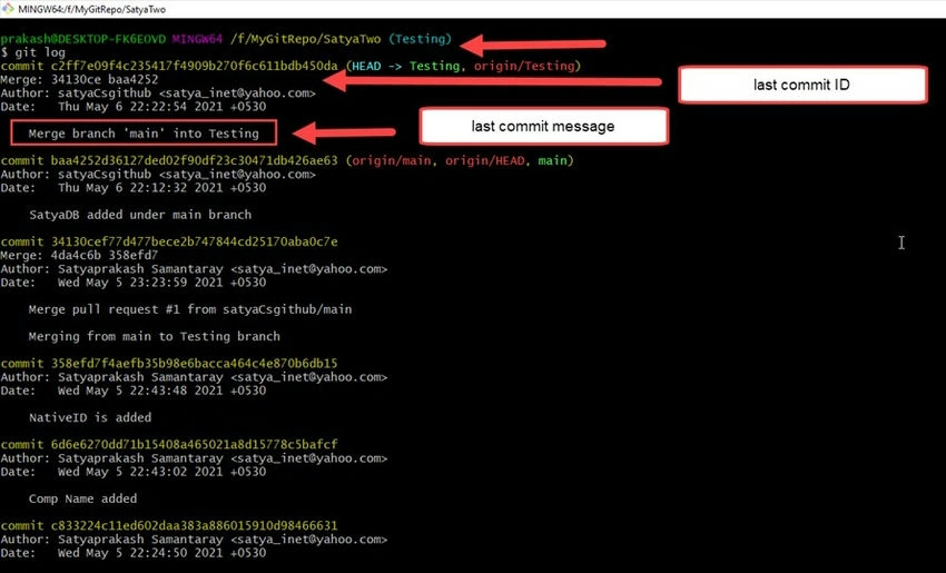 Git Bash