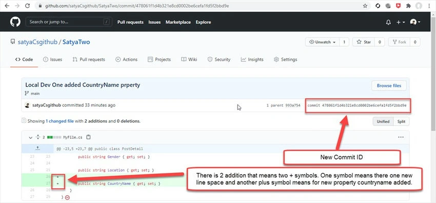 Commit IDs