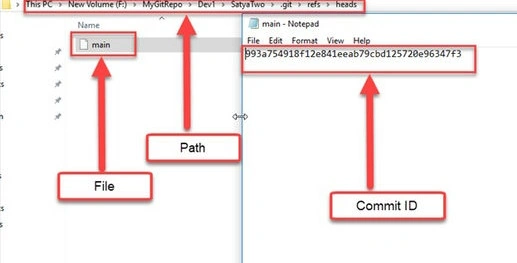 Path