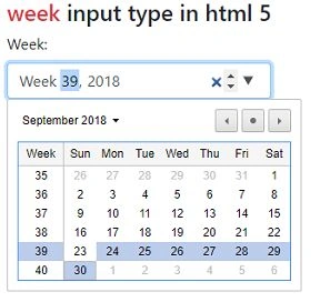 New Input Types in HTML 5