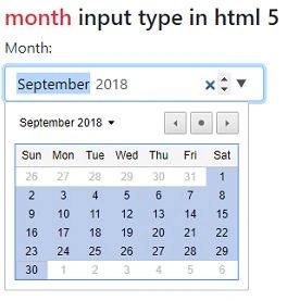 New Input Types in HTML 5