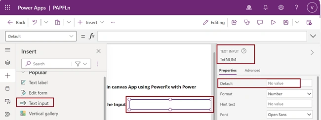 Text Input