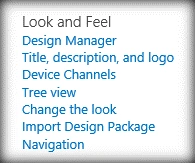 Look and Feel Section