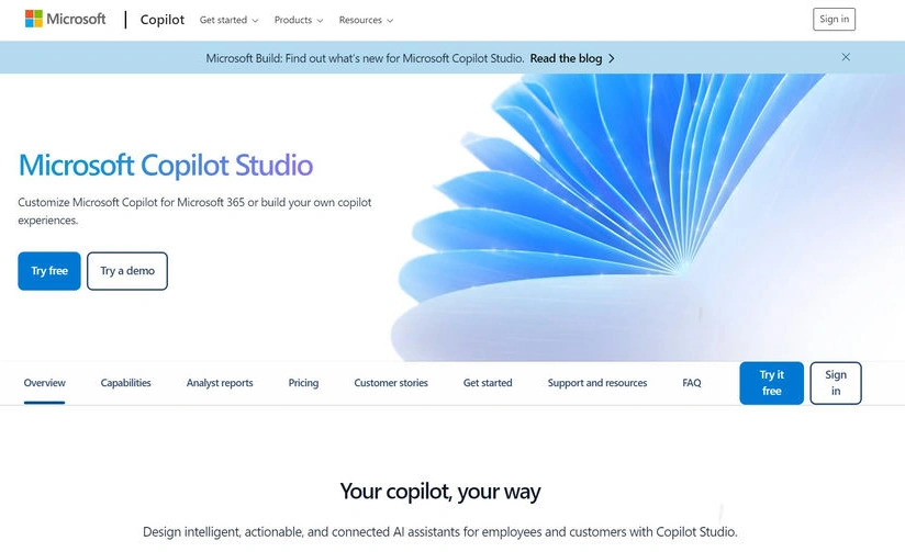 Microsoft copilot
