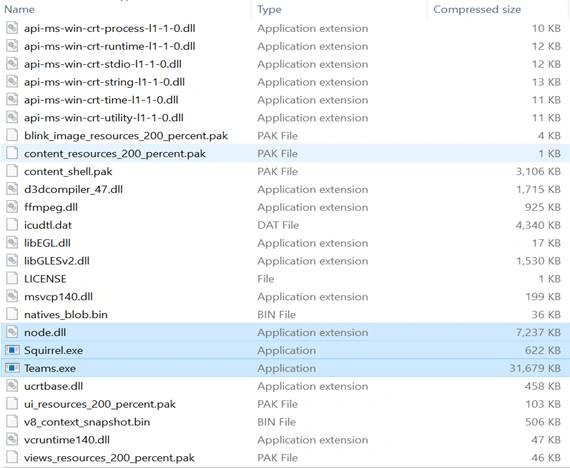 NuGet structure