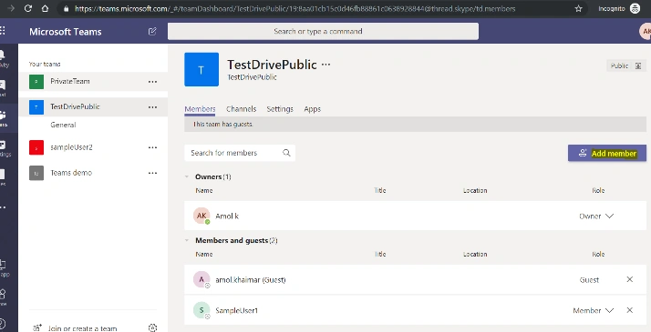 Microsoft Teams - Type Of Member (Guest)