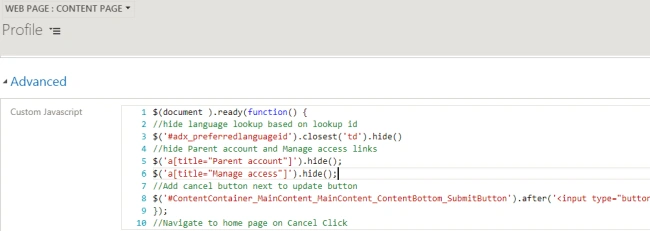 Custom Javascript