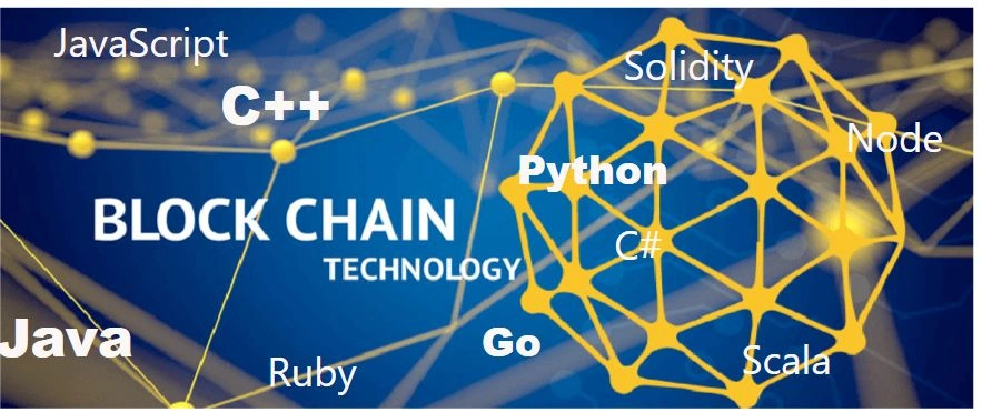 Most popular blockchain programming language