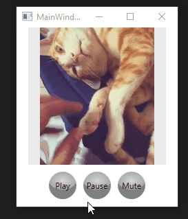Multimedia In WPF